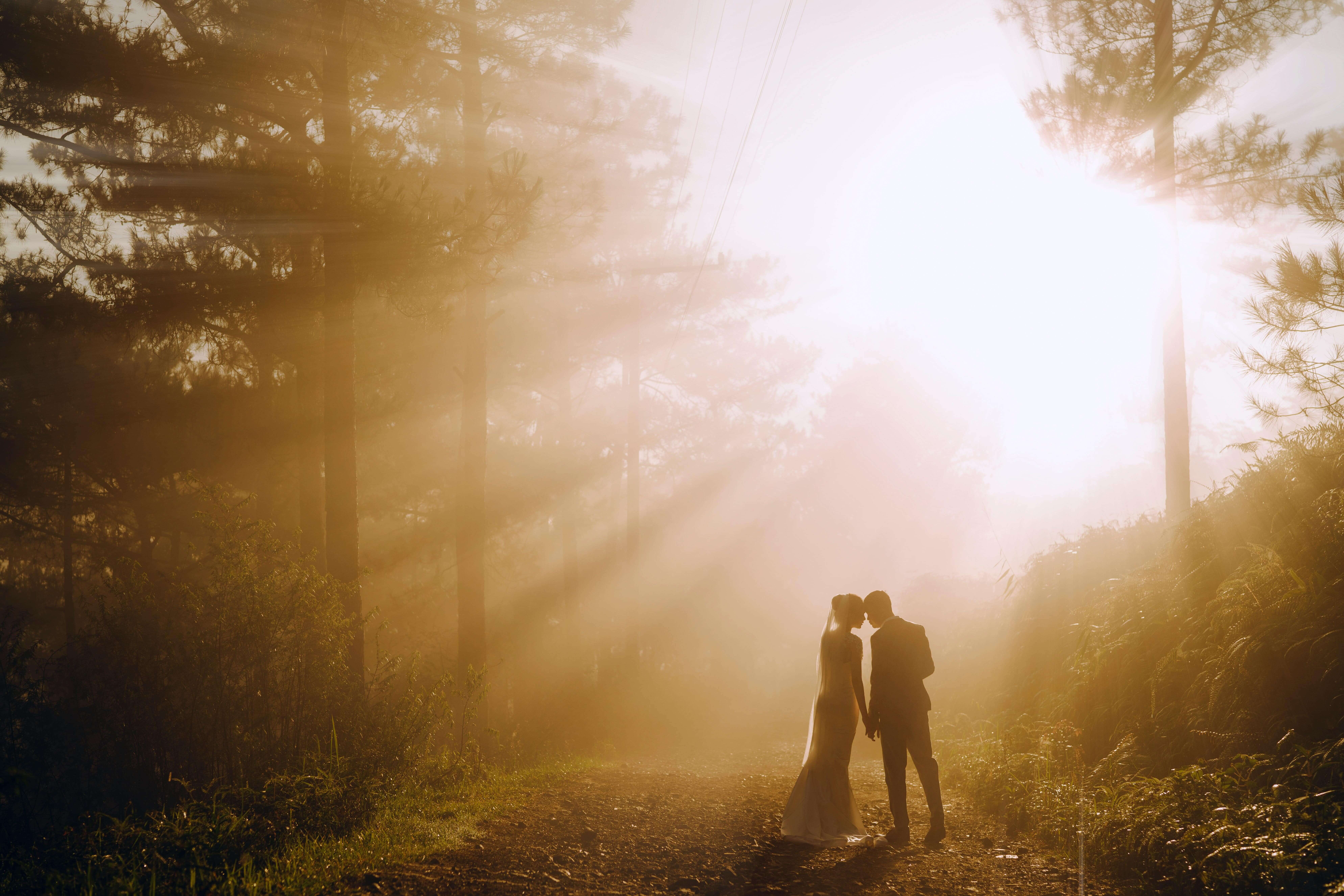 Newly Wed couples in Dalat, Lam Dong, Vietnam - Vietnam Honeymoon / Source: Tran Long - Pexels