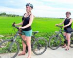 day tours from da nang